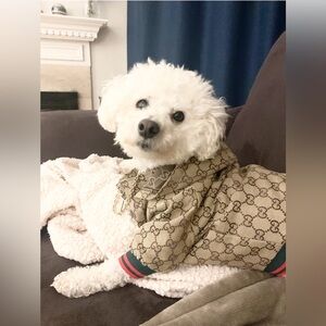 Gucci 🐾 Monogram Dog Jacket in Tan and Green